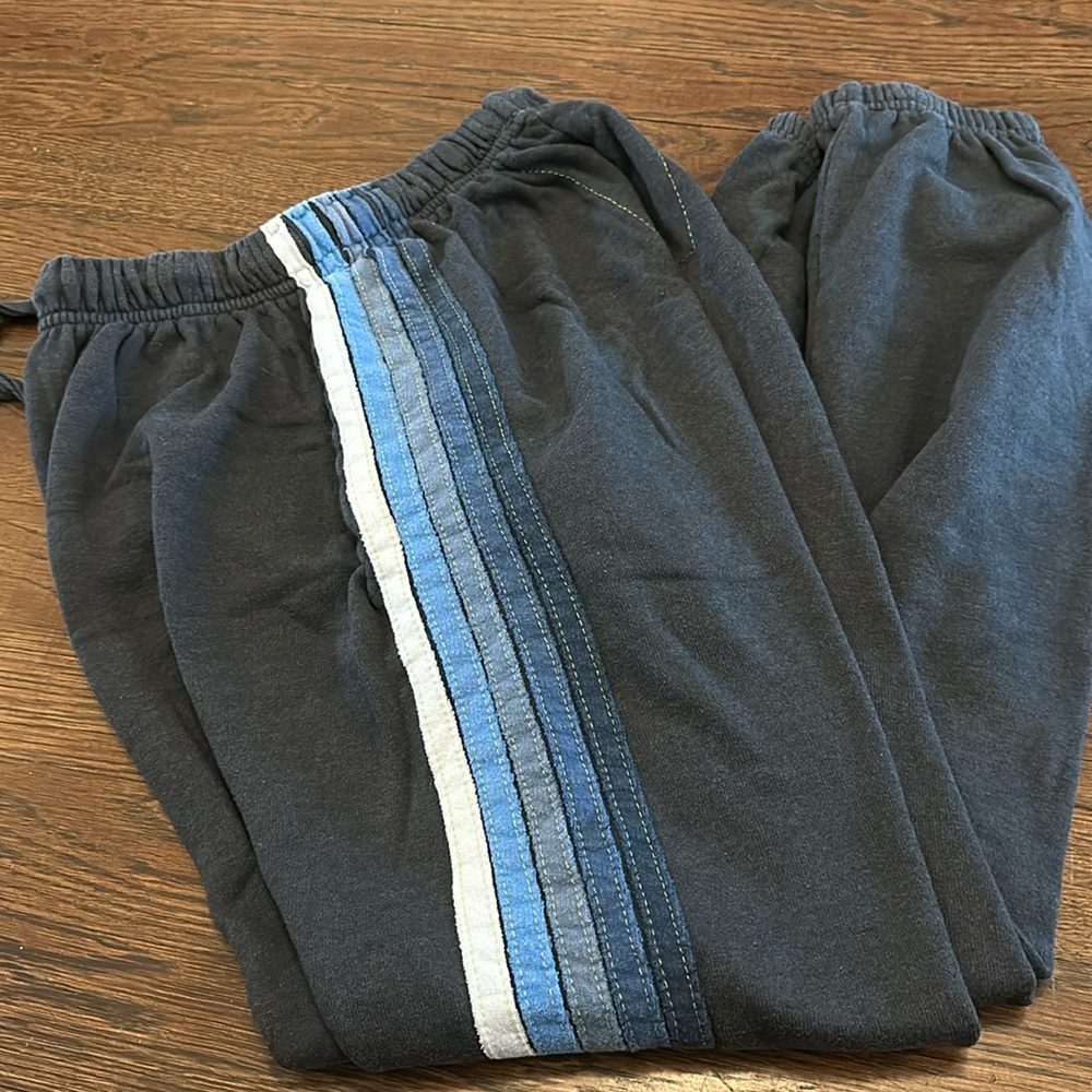 Aviator Nation, dark grey striped sweatpants. Adult small. Like new.